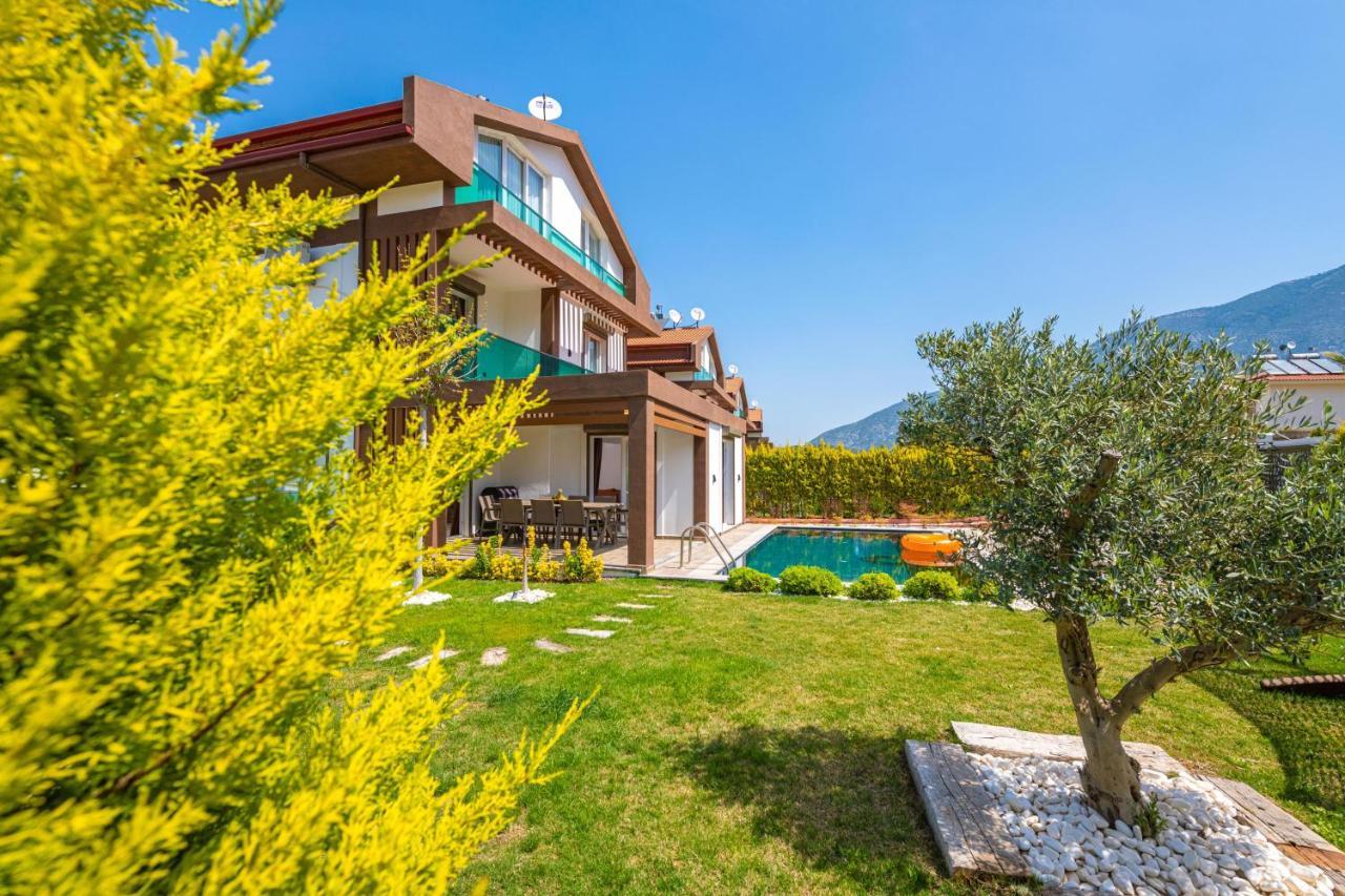4 Beds, Luxury Holiday Villa in Hisarönü Ölüdeniz Villa Mia Fethiye Exterior foto